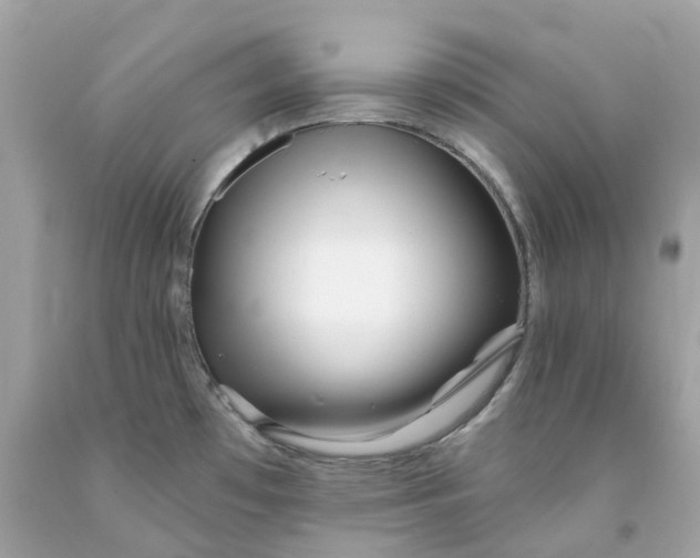 X0000091471481200709061807