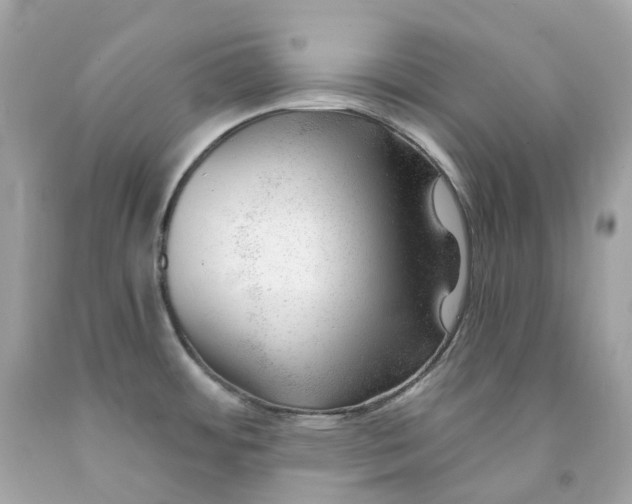 X0000091471484200709061807