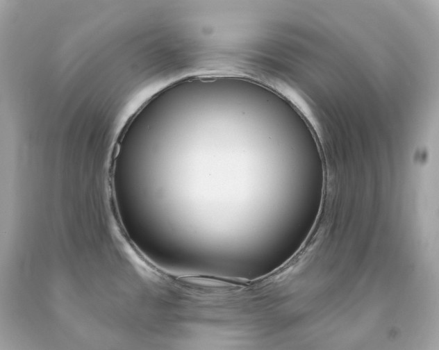 X0000091471485200709061807