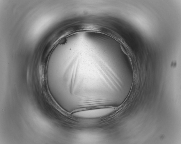 X0000091471487200709061807