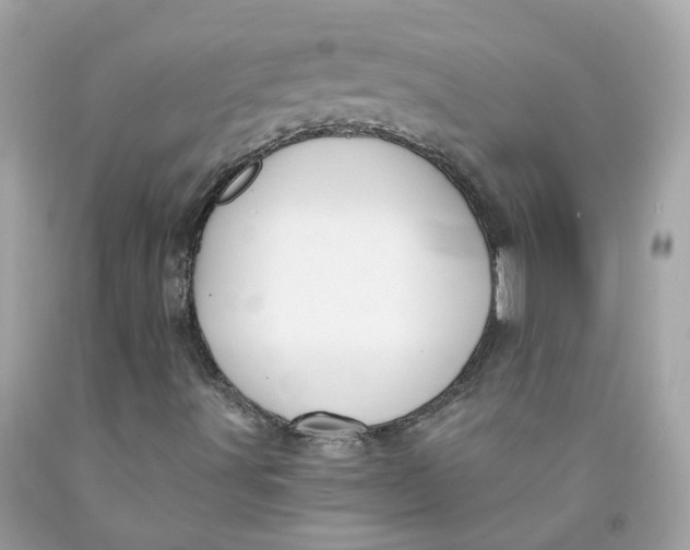 X0000091471491200709061807