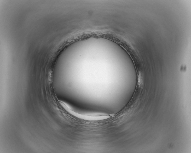 X0000091471492200709061807