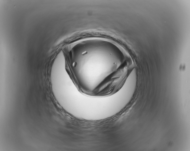 X0000091471494200709061807