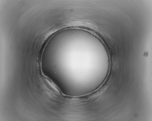 X0000091471497200709061807