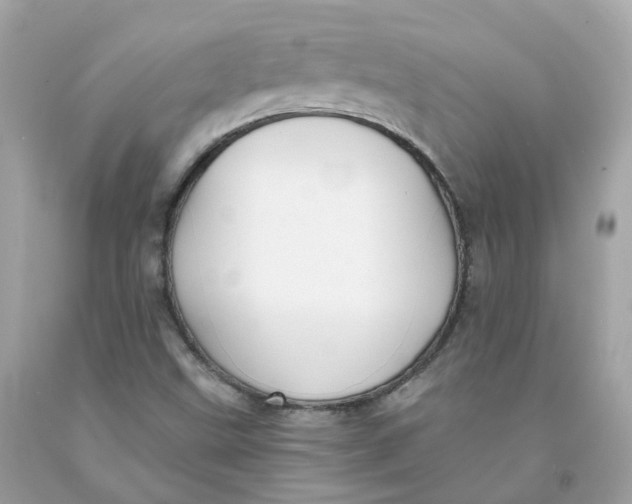 X0000091471499200709061807