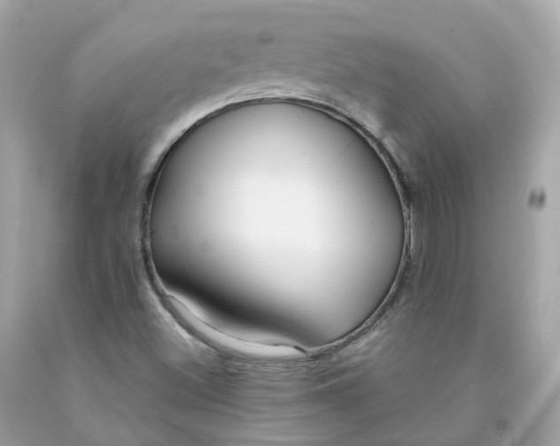 X0000091471500200709061807