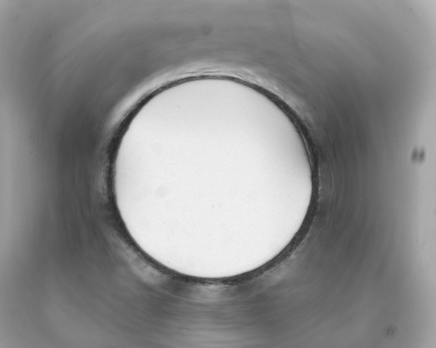 X0000091471502200709061807