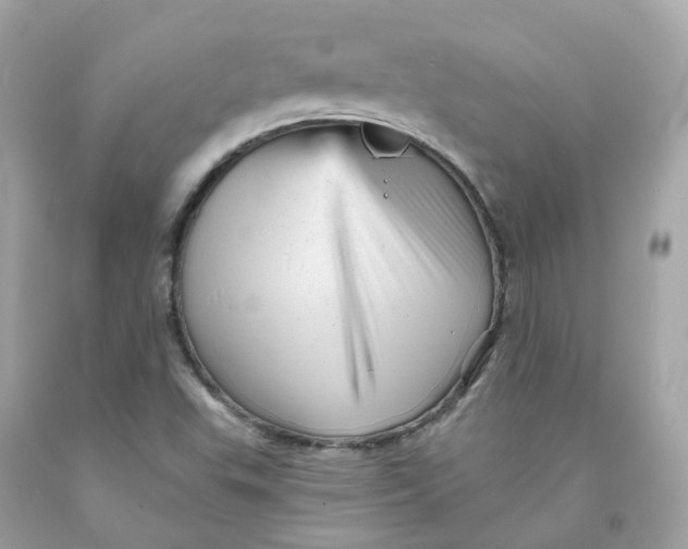 X0000091471503200709061807