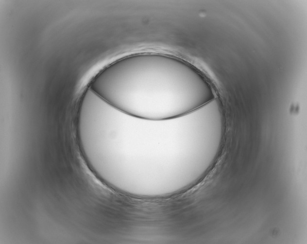 X0000091471504200709061807