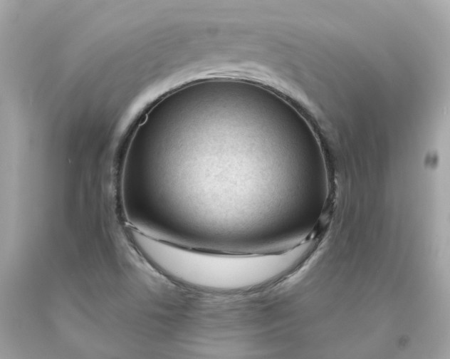 X0000091471506200709061807