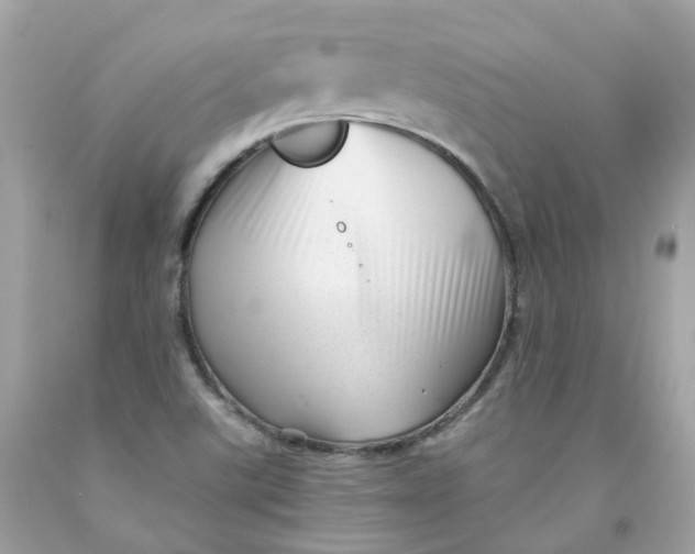 X0000091471507200709061807