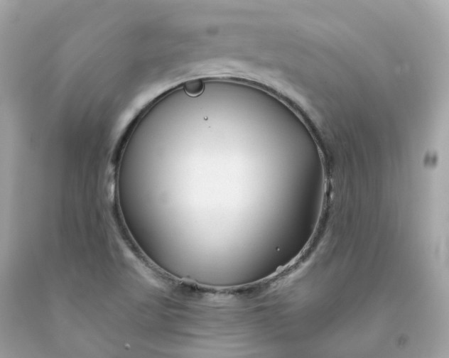 X0000091471509200709061807