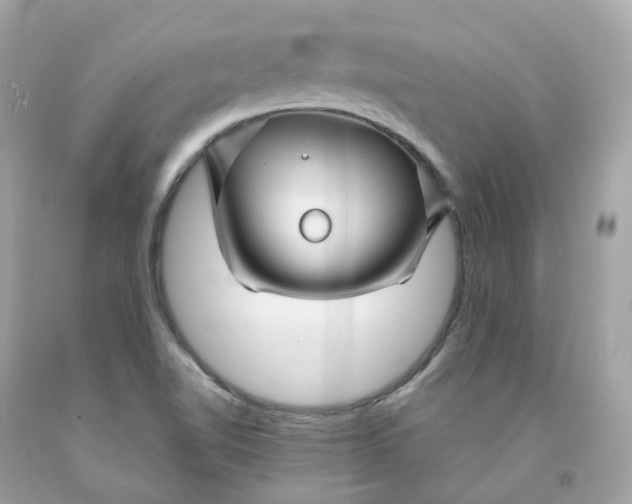 X0000091471510200709061807