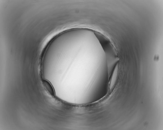 X0000091471511200709061807