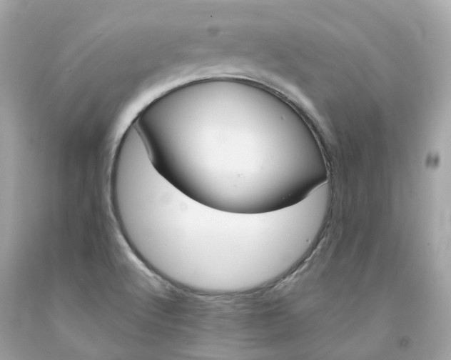 X0000091471512200709061807