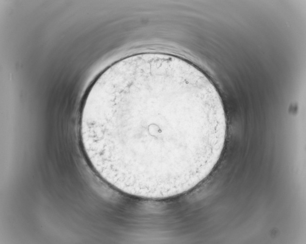 X0000091471514200709061807