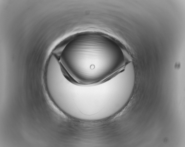 X0000091471518200709061807