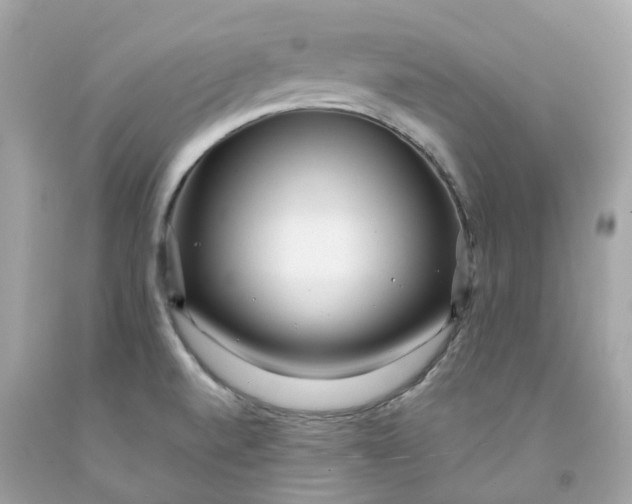 X0000091471520200709061807