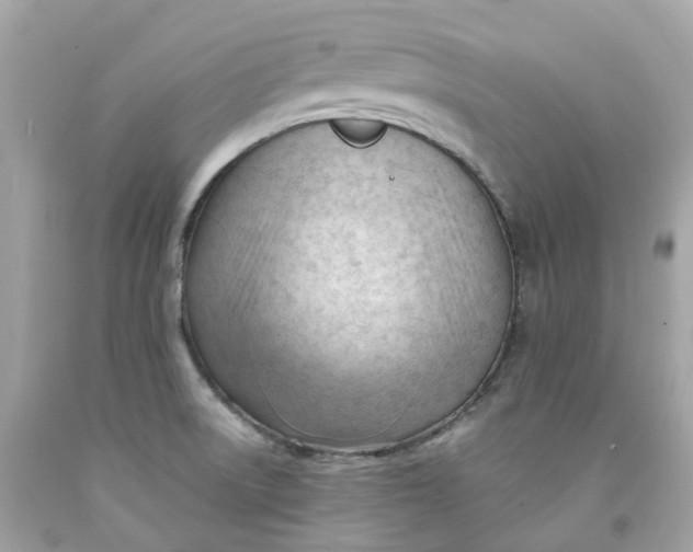 X0000091471522200709061807