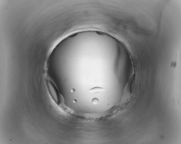 X0000091471524200709061807