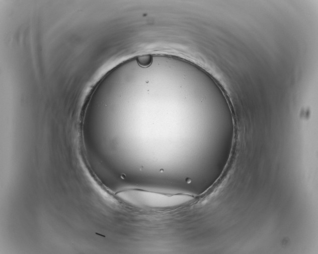 X0000091471525200709061807