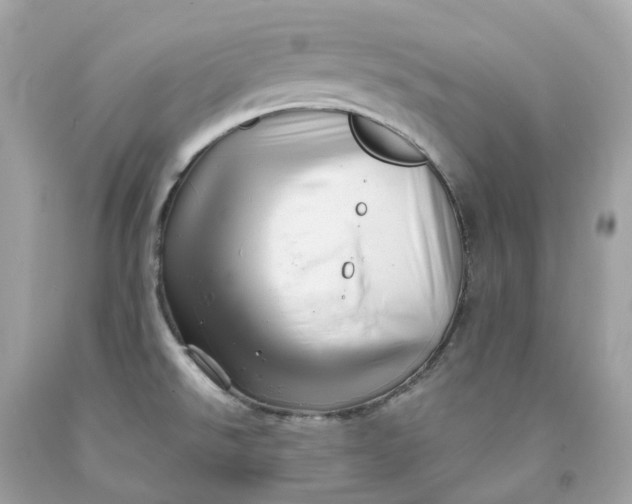 X0000091471526200709061807