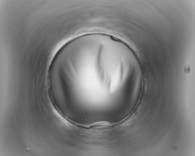 X0000091471527200709061807