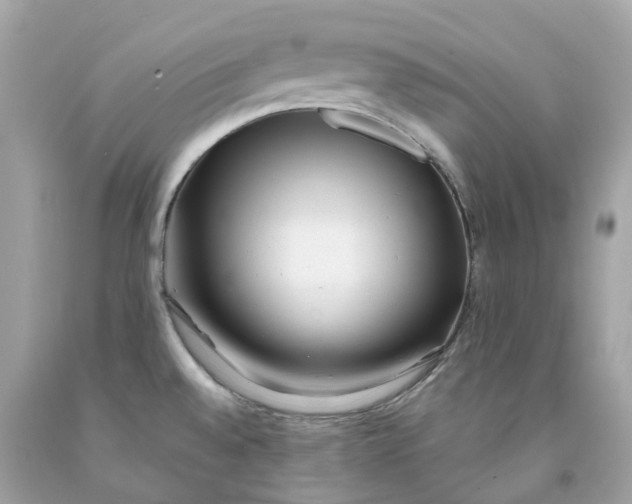 X0000091471528200709061807