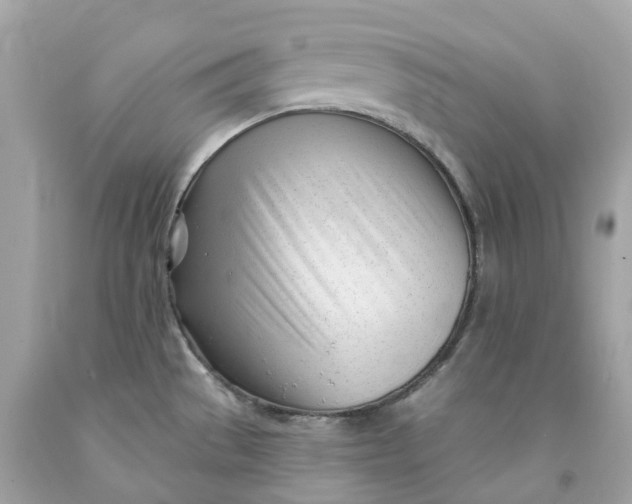 X0000091471529200709061807