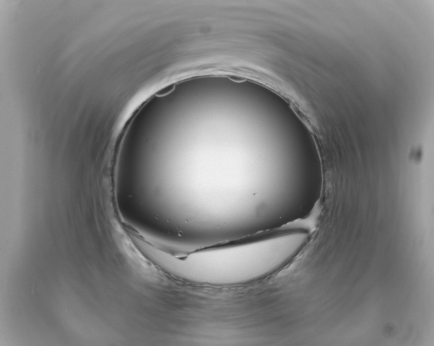 X0000091471530200709061807