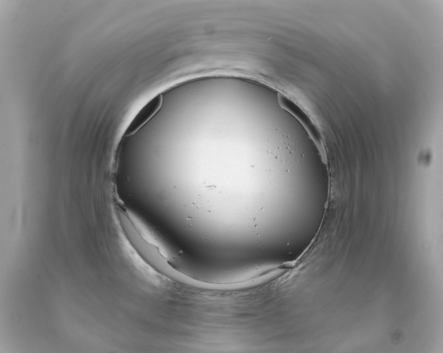 X0000091471532200709061807