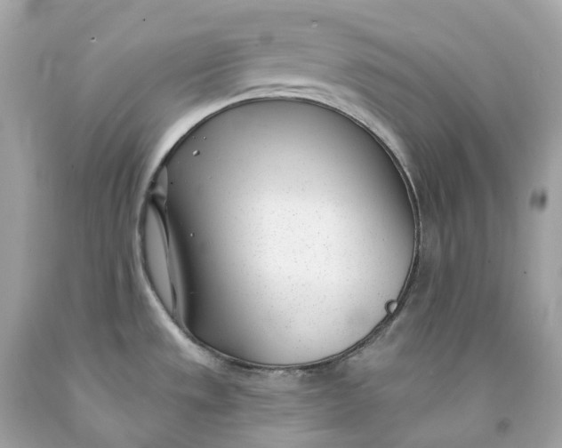 X0000091471533200709061807