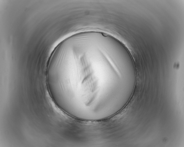 X0000091471534200709061807