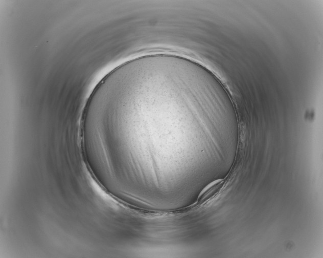 X0000091471535200709061807