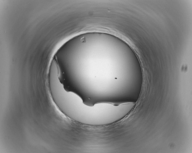 X0000091471536200709061807