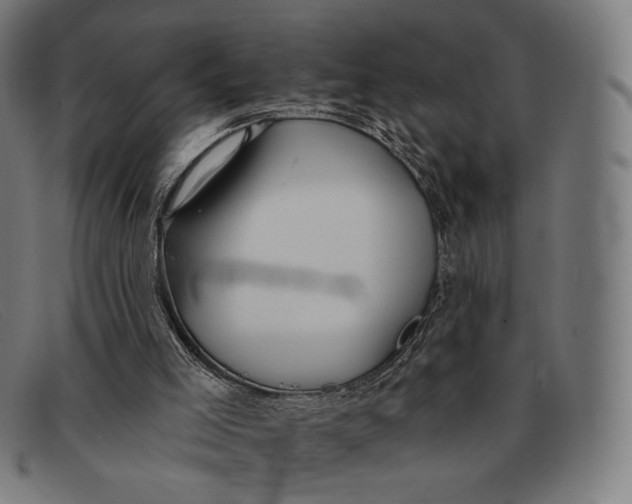 X0000091470005200709131801