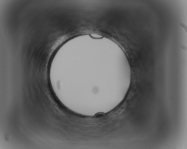 X0000091470008200709131801