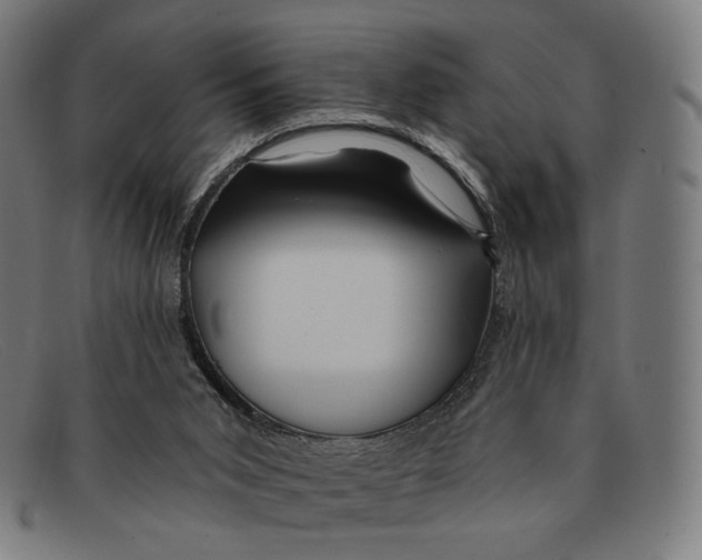 X0000091470015200709131801