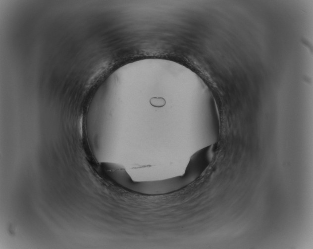 X0000091470019200709131801