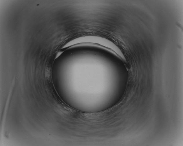 X0000091470033200709131801