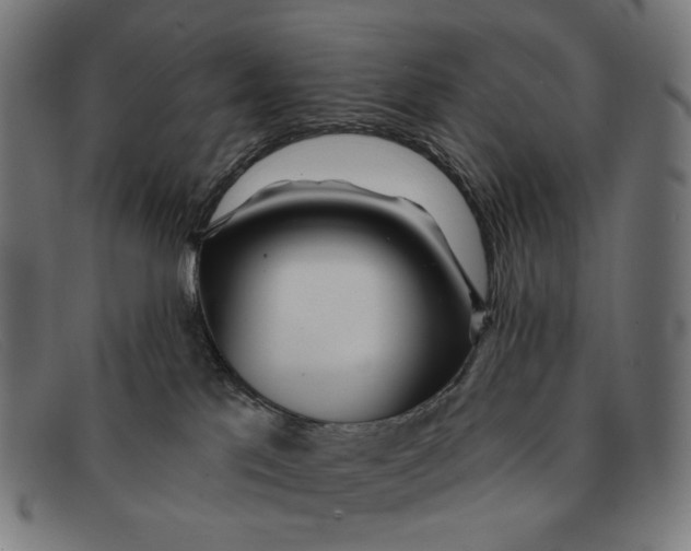 X0000091470041200709131801