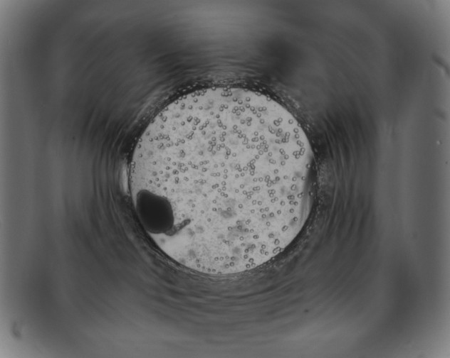 X0000091470046200709131801