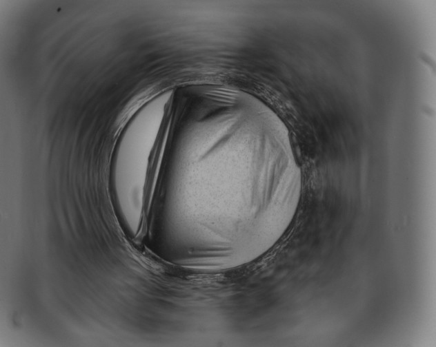 X0000091470051200709131800