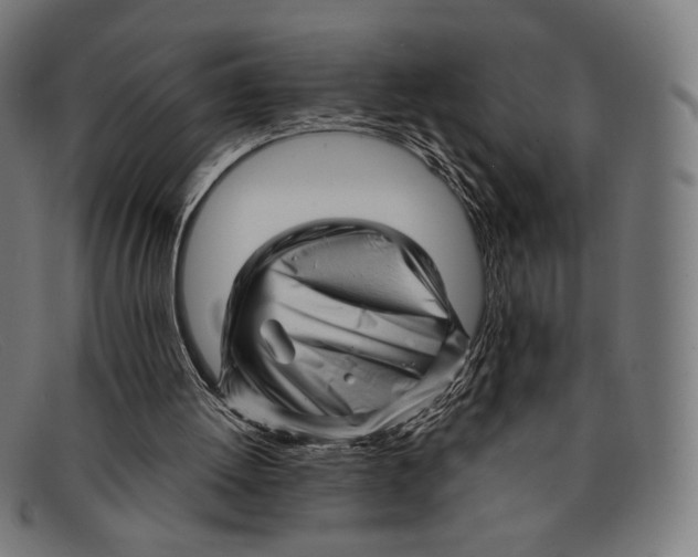 X0000091470052200709131800