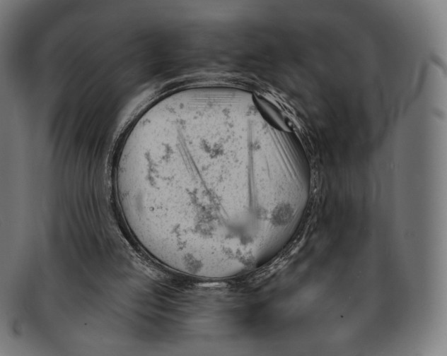 X0000091470053200709131800