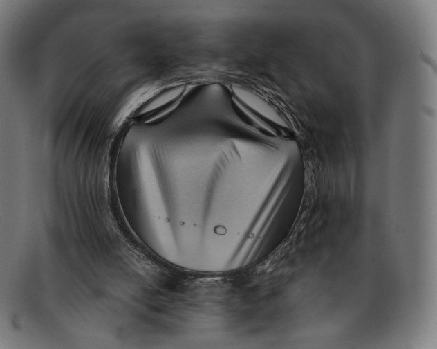 X0000091470054200709131800