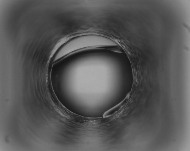 X0000091470056200709131800