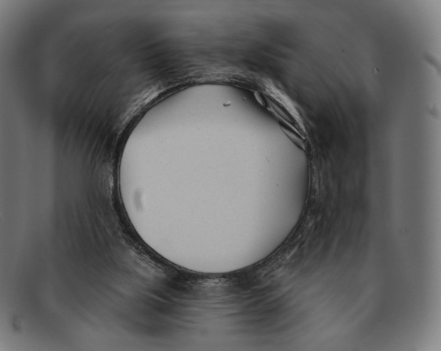 X0000091470059200709131800