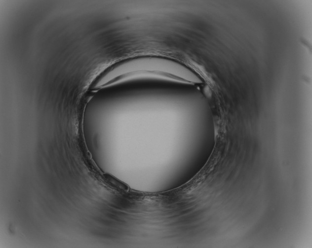 X0000091470060200709131800