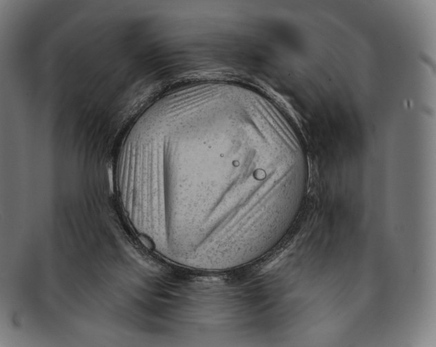 X0000091470061200709131800